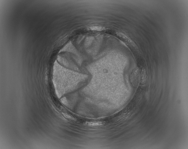 X0000082200639200702100002