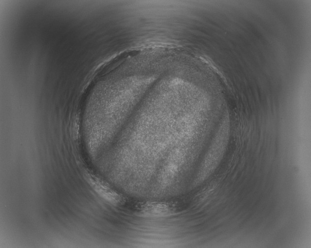 X0000082200640200702100002