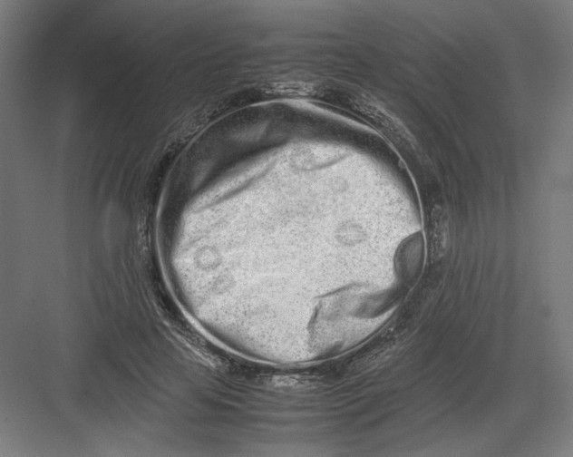 X0000082200641200702100002