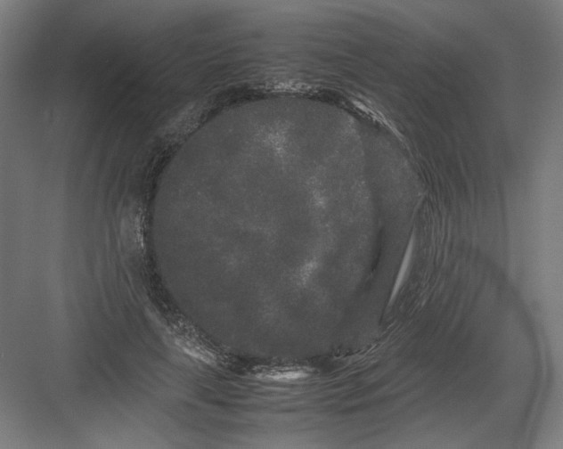 X0000082200643200702100002