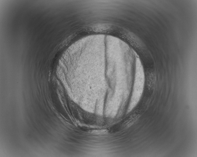 X0000082200644200702100002