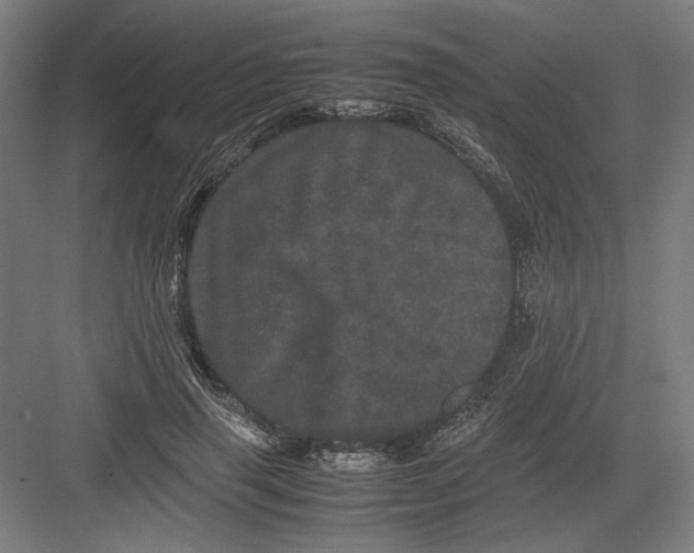 X0000082200645200702100002