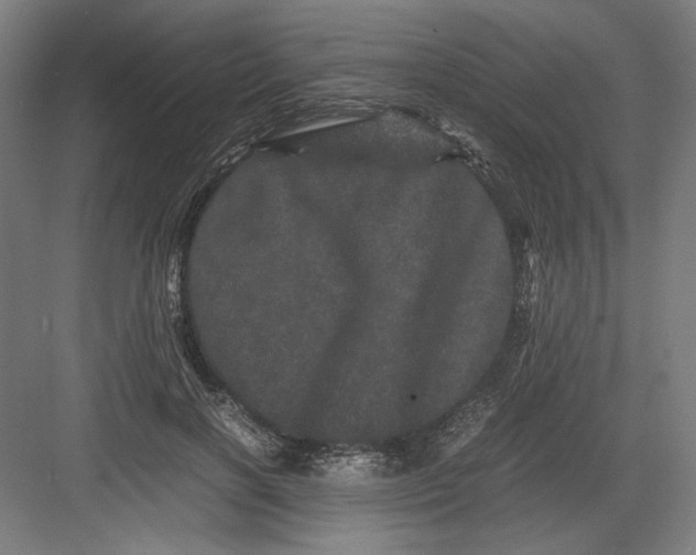 X0000082200646200702100002