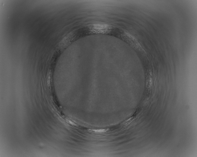 X0000082200647200702100002