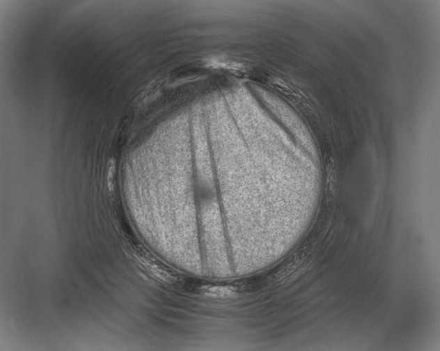 X0000082200649200702100002