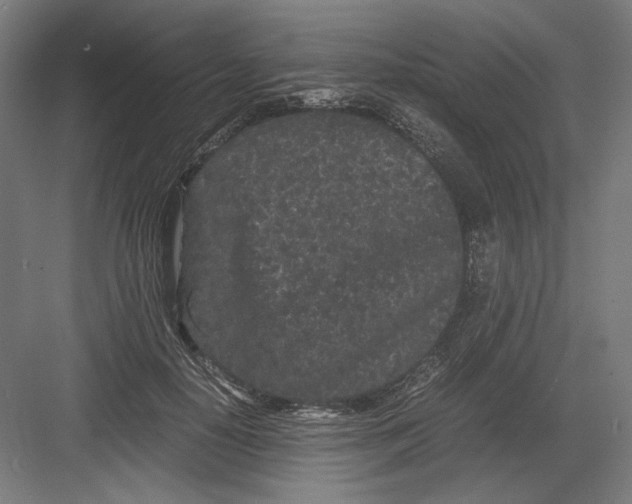 X0000082200650200702100002