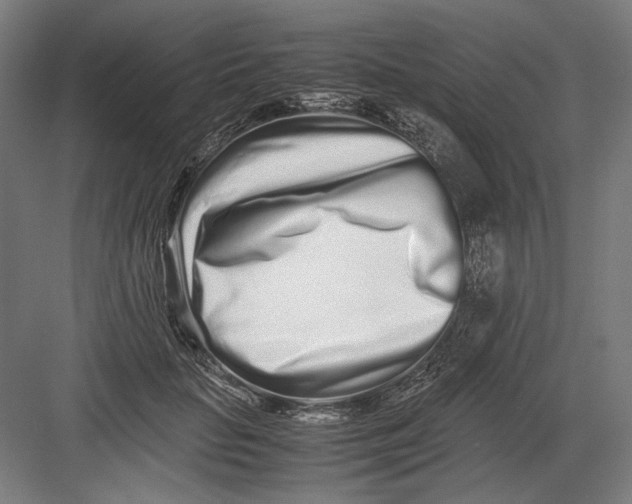 X0000082200653200702100002