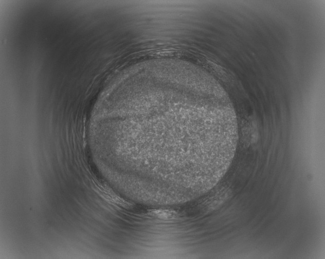 X0000082200654200702100002