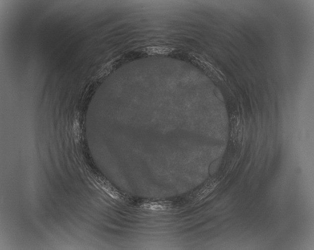 X0000082200655200702100002