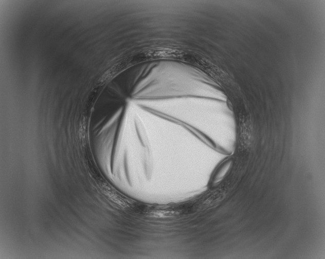 X0000082200657200702100002