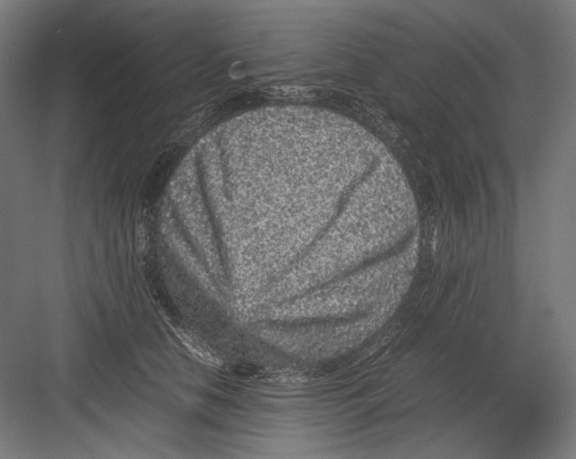 X0000082200658200702100002