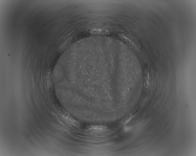 X0000082200659200702100002