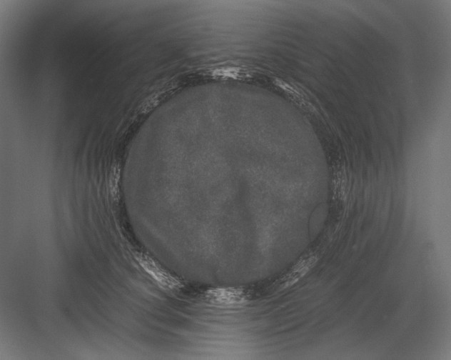 X0000082200660200702100002