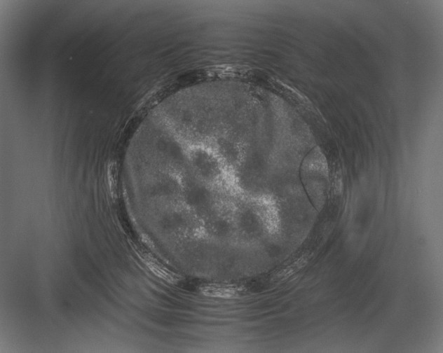 X0000082200661200702100002