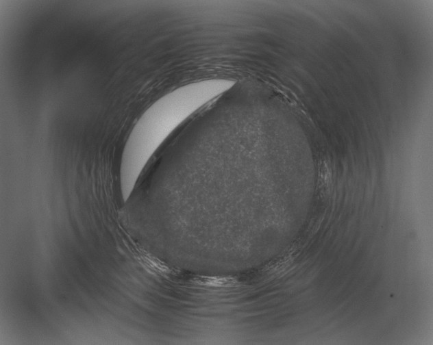 X0000082200663200702100002