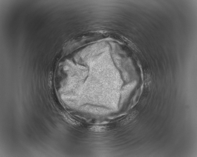 X0000082200664200702100002