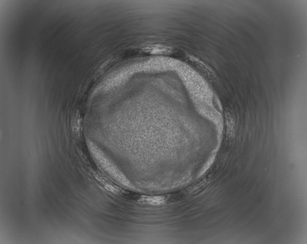 X0000082200665200702100002