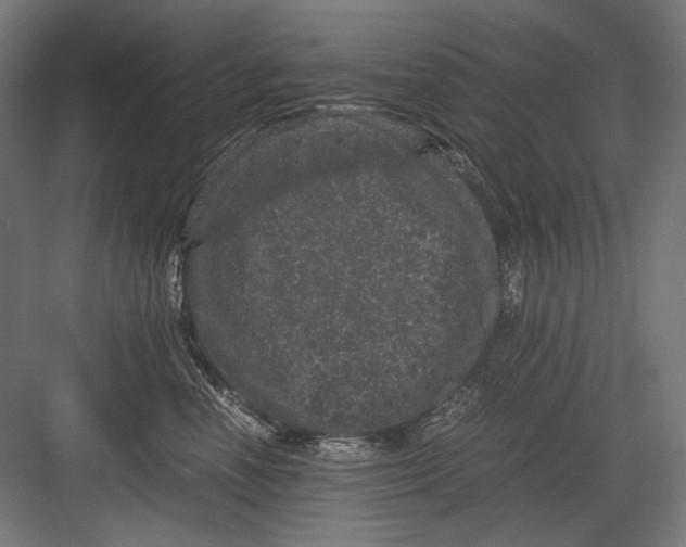 X0000082200666200702100002