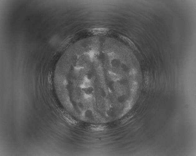 X0000082200667200702100002