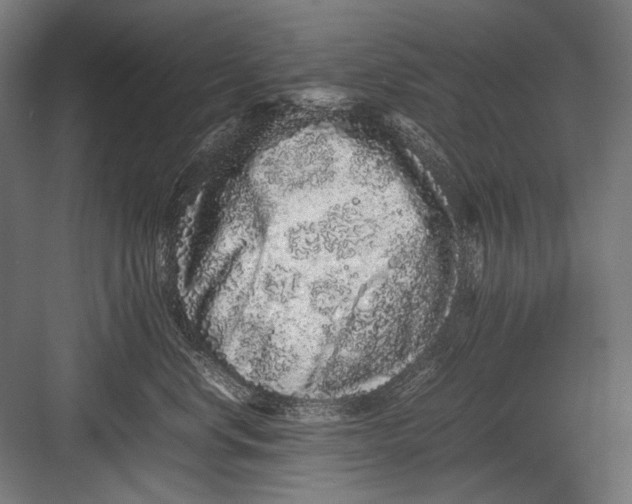 X0000082200668200702100003