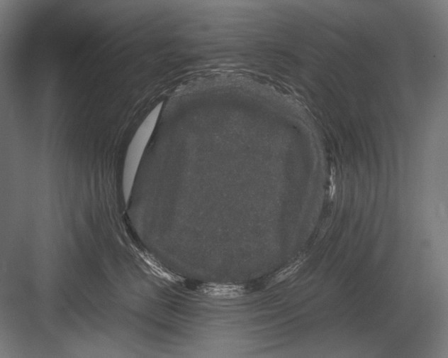 X0000082200670200702100003