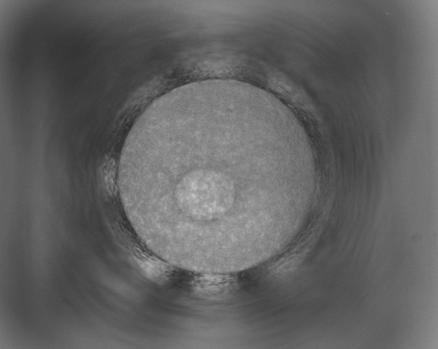 X0000082200672200702100003