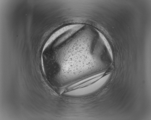 X0000082200673200702100002