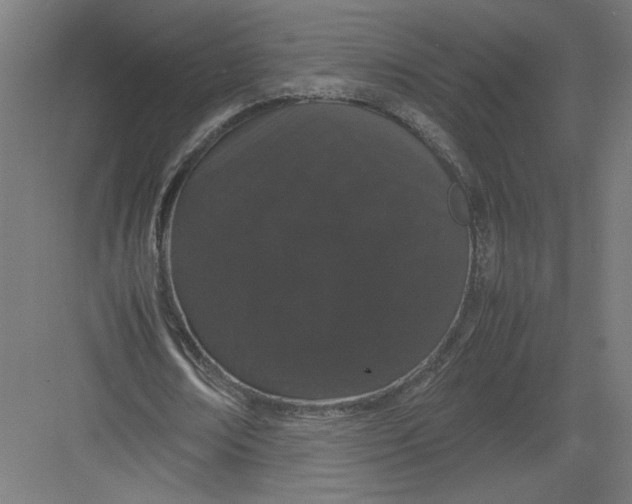 X0000082200674200702100002