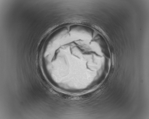 X0000082200675200702100002