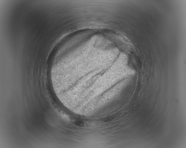 X0000082200679200702100002