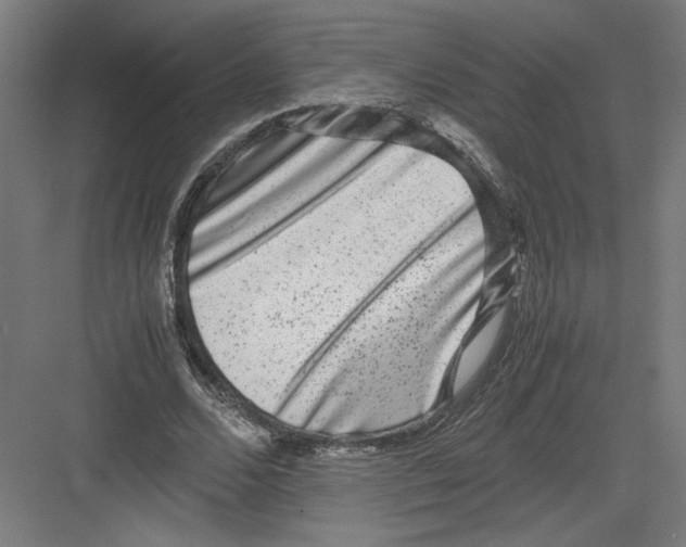 X0000082200680200702100002