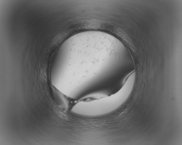 X0000082200681200702100002