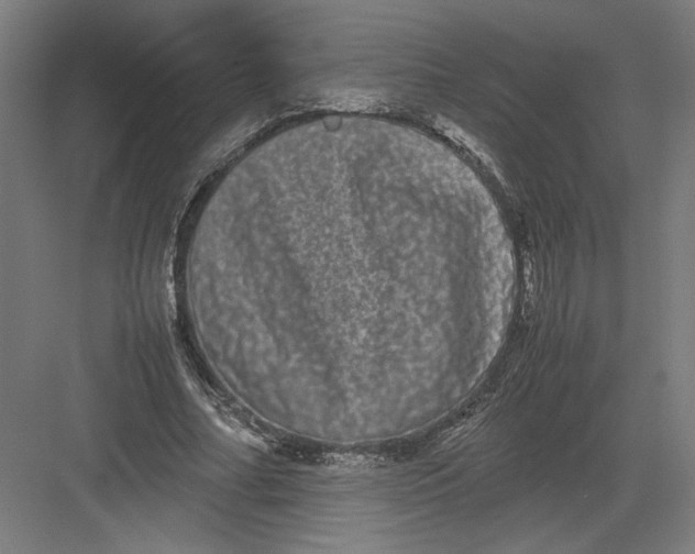 X0000082200682200702100001