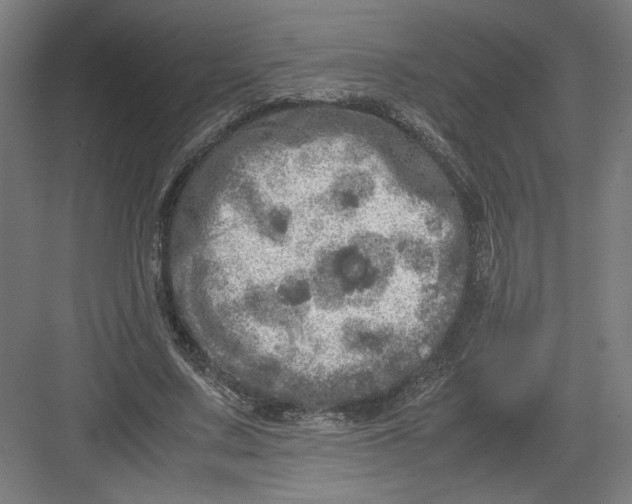 X0000082200683200702100001