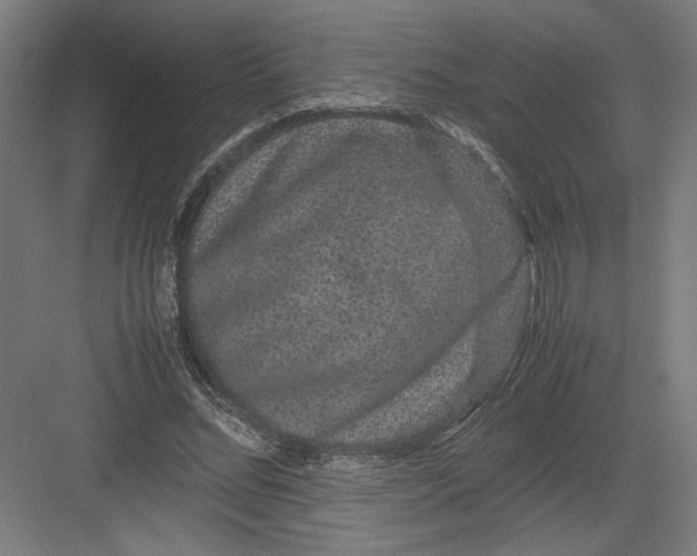 X0000082200684200702100001