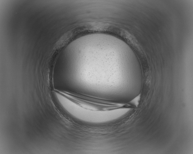 X0000082200685200702100001