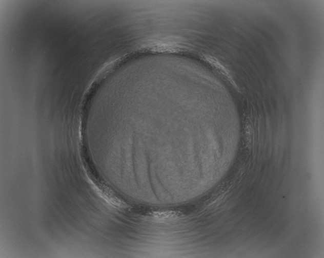 X0000082200686200702100001