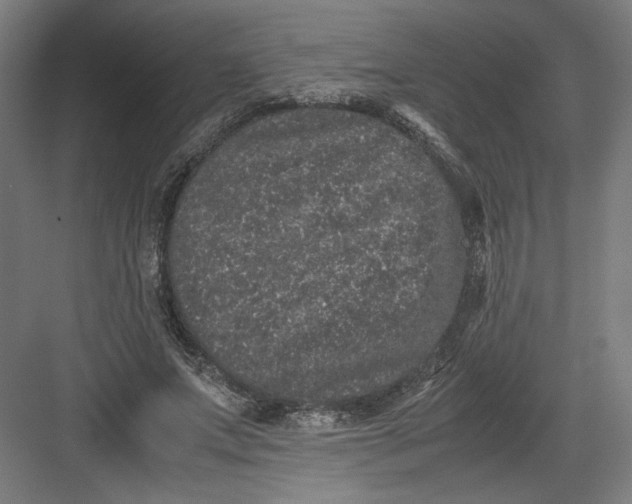 X0000082200687200702100001