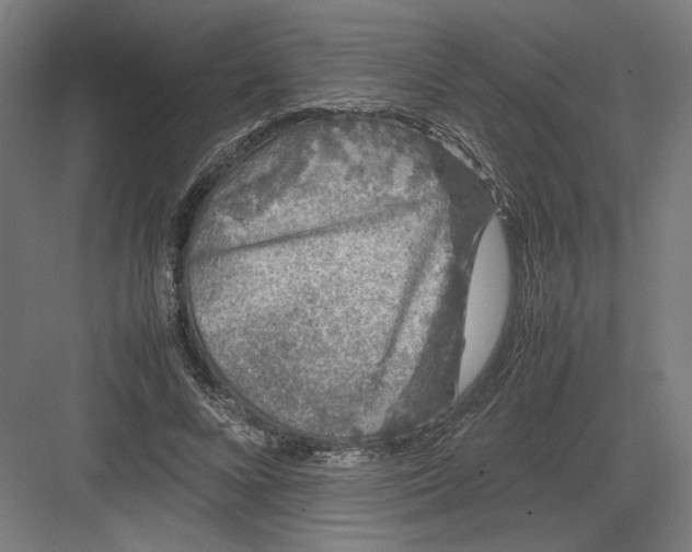 X0000082200688200702100001