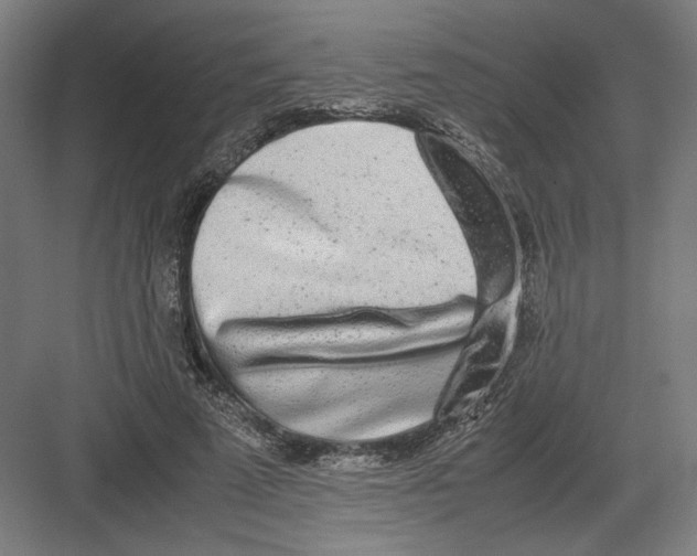 X0000082200689200702100001