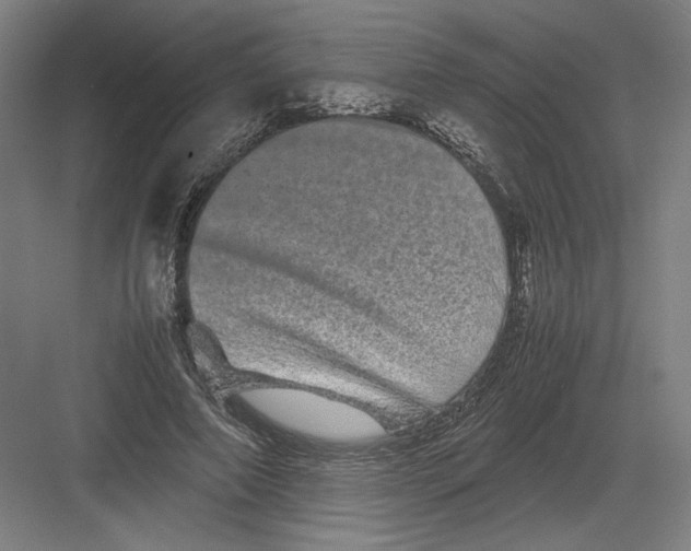 X0000082200690200702100001