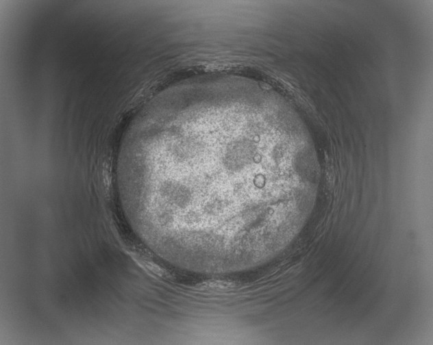 X0000082200691200702100001