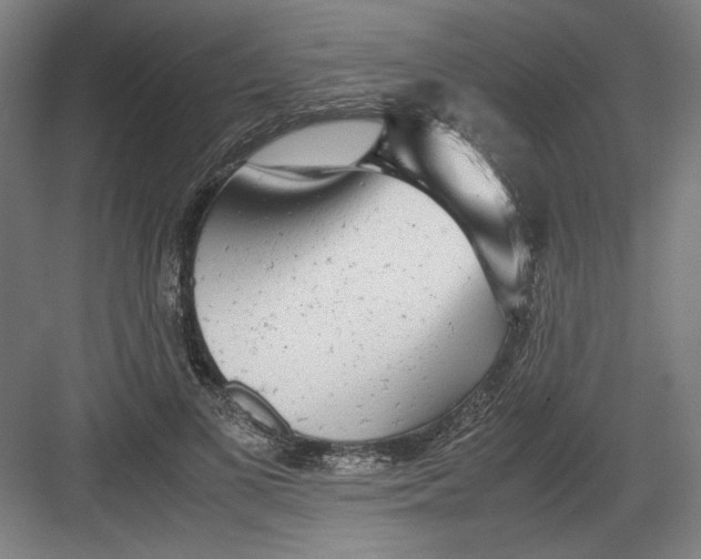 X0000082200693200702100001