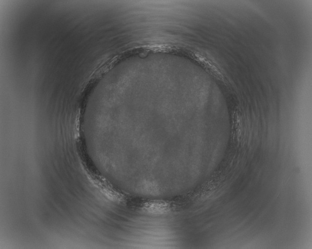 X0000082200694200702100001