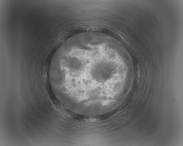 X0000082200695200702100001