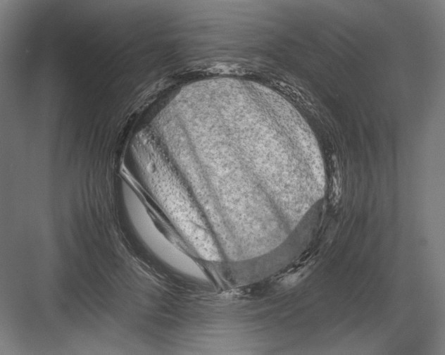 X0000082200696200702100001