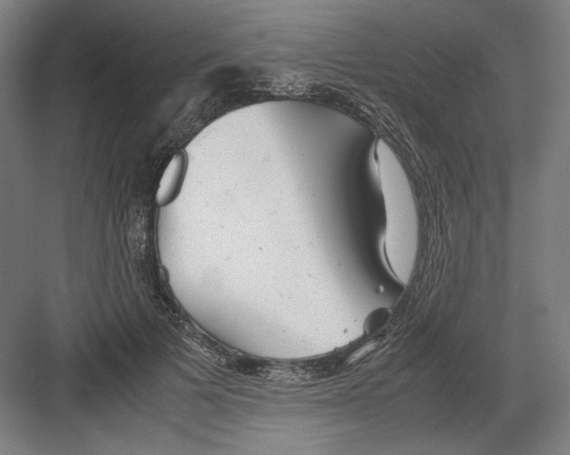 X0000082200697200702100001