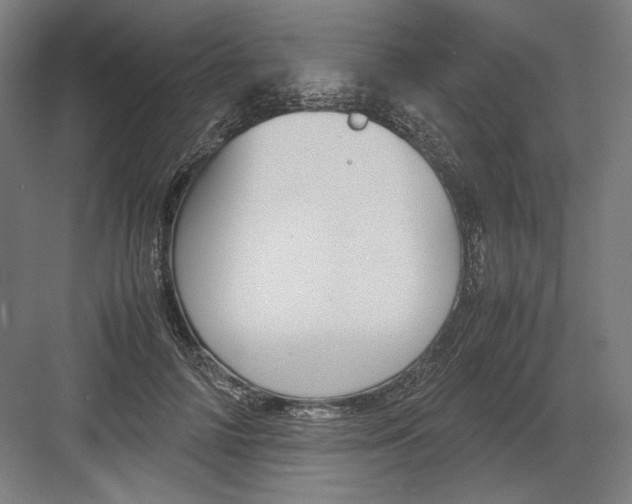 X0000082200698200702100001