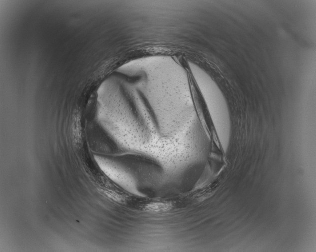 X0000082200700200702100001