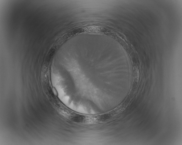 X0000082200701200702100001